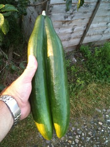 Odd shaped veg