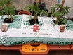 growbag waterer 2